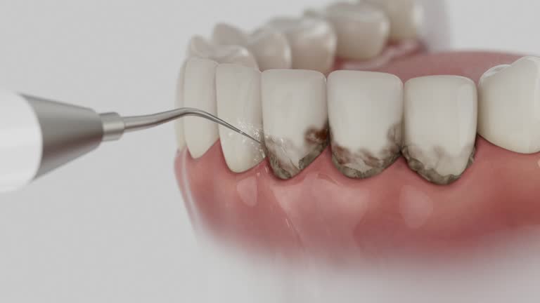 Reliable Dental contractor in Gibson, AR by Dentist Open Now